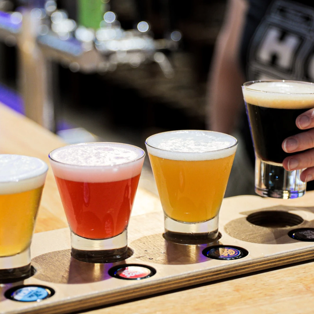 Beer Tasting at Hope Estate